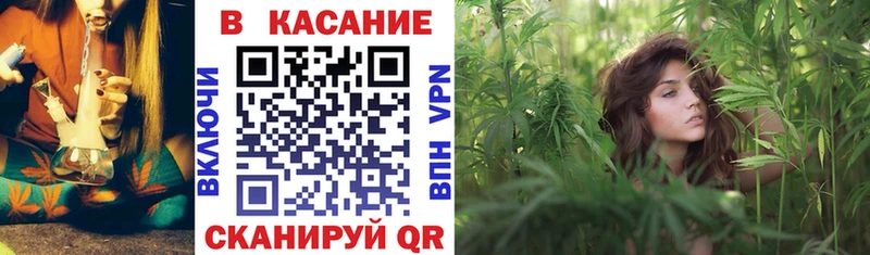 Купить наркотики сайты Питкяранта mega tor  КОКАИН  Гашиш  Галлюциногенные грибы  Меф мяу мяу  Бошки Шишки  ГЕРОИН 
