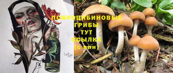 кристаллы Алексеевка